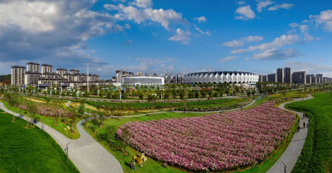 titan007即时比分