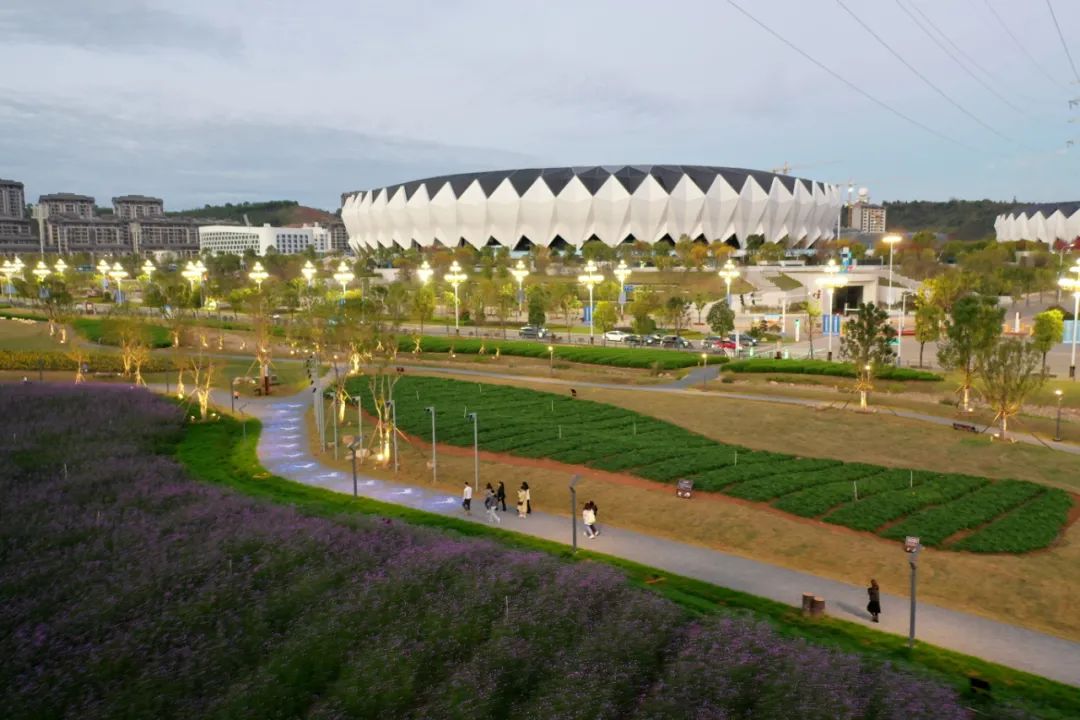 titan007即时比分