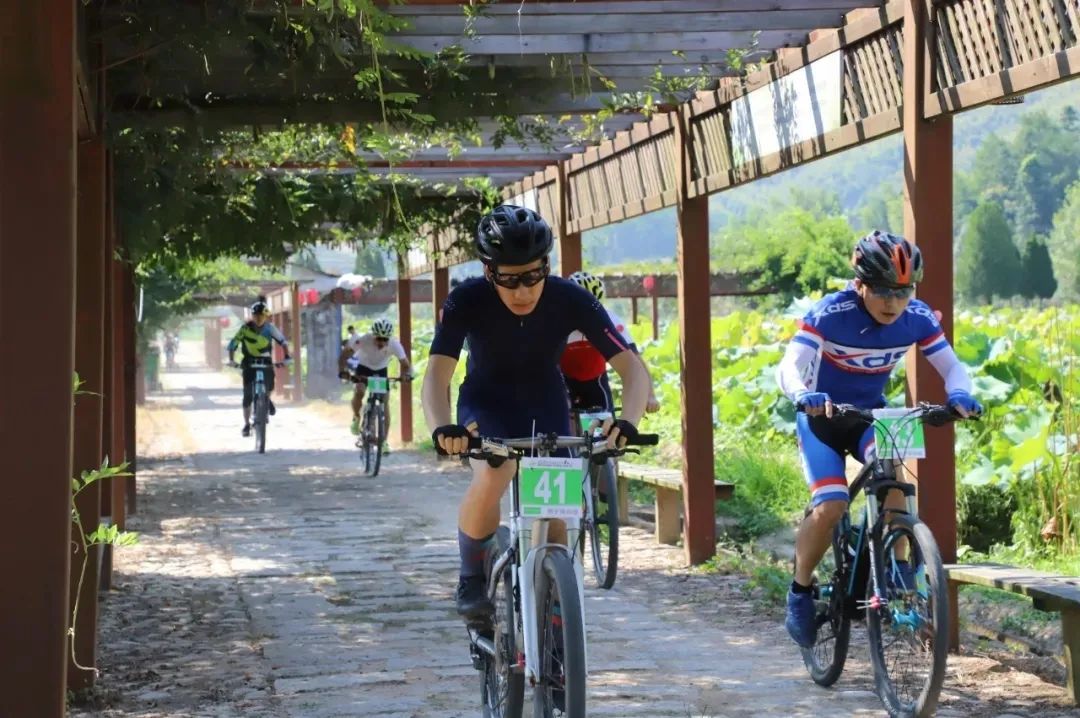 titan007即时比分