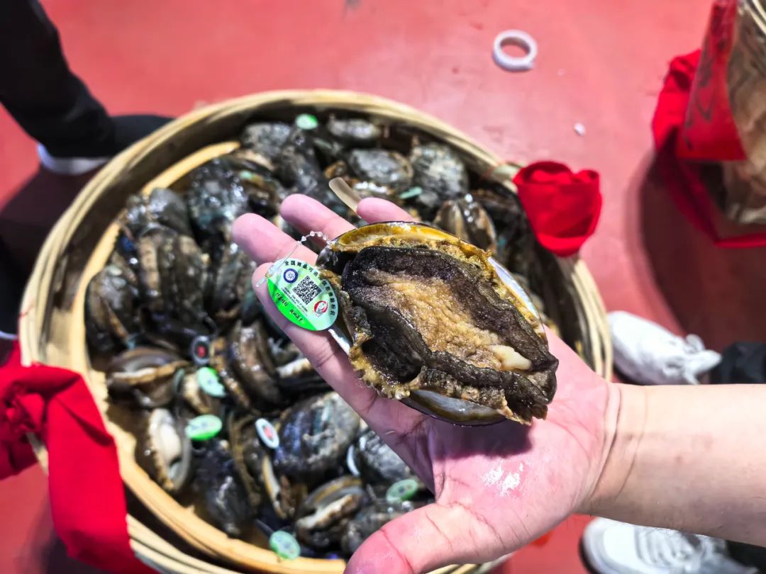 titan007即时比分