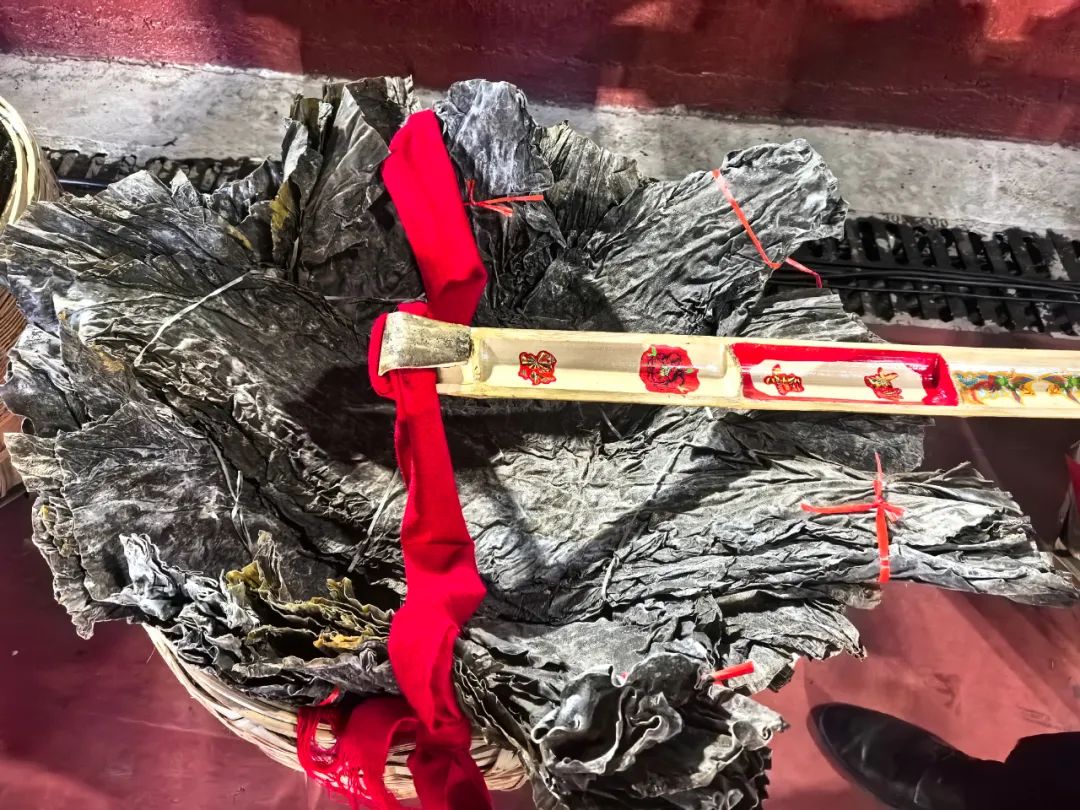 titan007即时比分